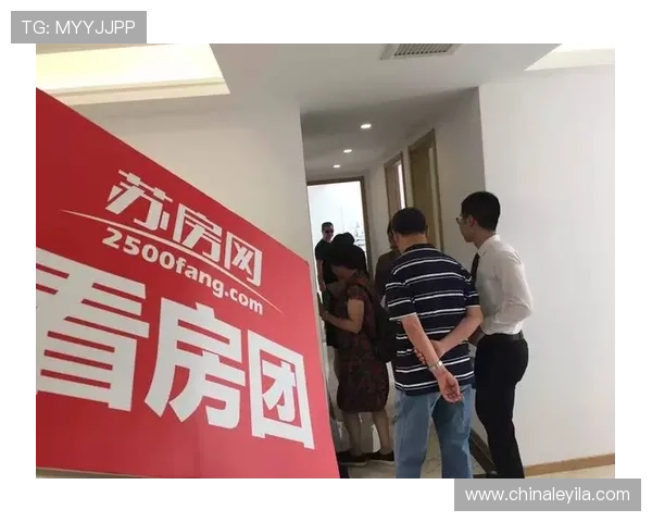 壹号娱乐app网站入口稳定性分析与优化建议分享