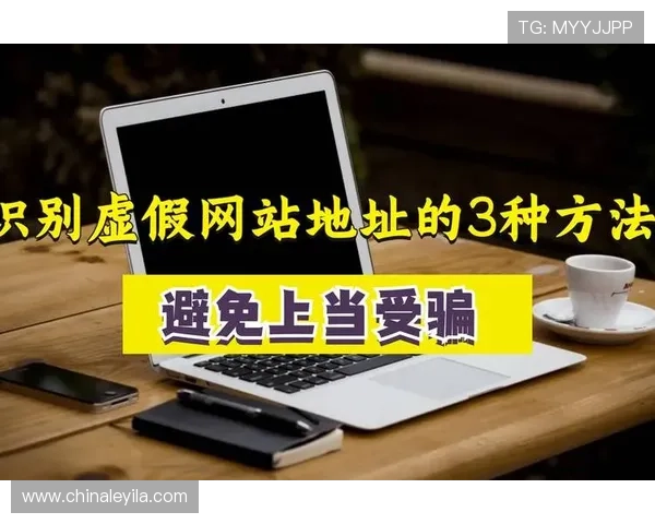 掌握壹号app官网地址查询技巧，轻松避免假冒网站风险